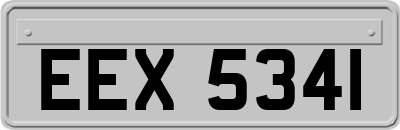 EEX5341