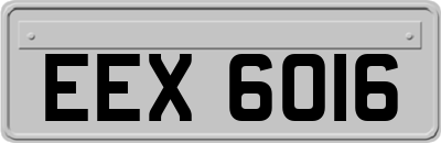 EEX6016