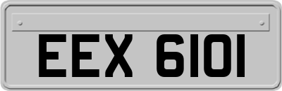 EEX6101