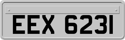 EEX6231