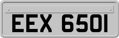 EEX6501