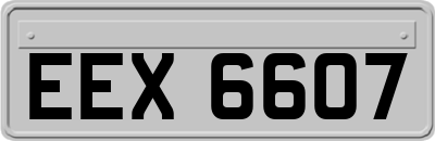 EEX6607