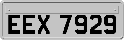 EEX7929