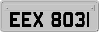 EEX8031