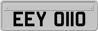 EEY0110