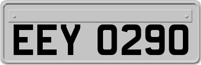 EEY0290