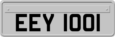 EEY1001