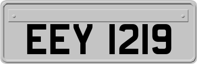EEY1219
