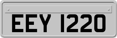 EEY1220