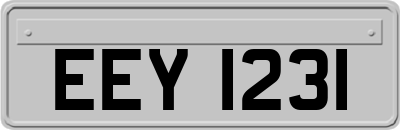 EEY1231