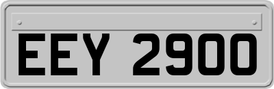 EEY2900