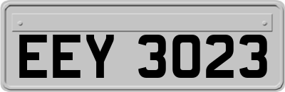 EEY3023