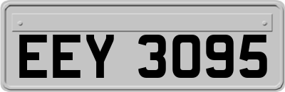 EEY3095