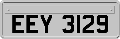 EEY3129
