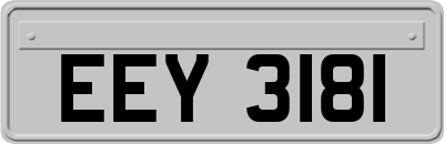 EEY3181