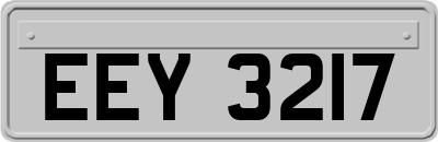 EEY3217