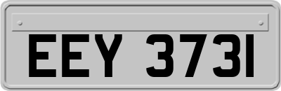 EEY3731