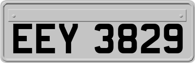 EEY3829