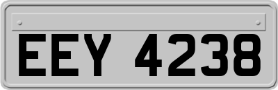 EEY4238