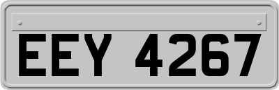 EEY4267