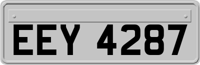 EEY4287