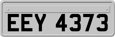 EEY4373