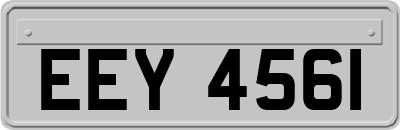 EEY4561