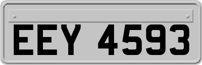 EEY4593