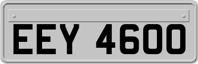 EEY4600
