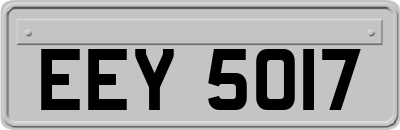 EEY5017