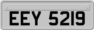 EEY5219