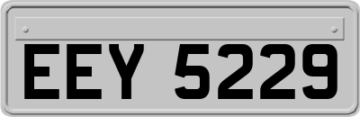 EEY5229