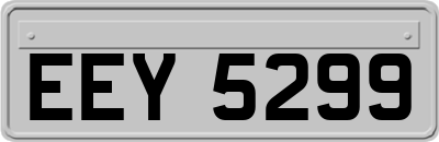EEY5299