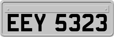EEY5323