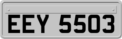 EEY5503