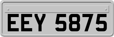 EEY5875