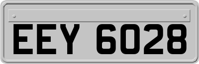 EEY6028