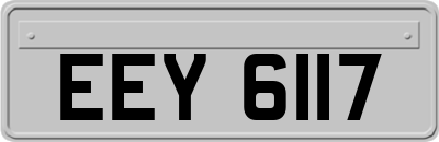 EEY6117