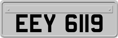 EEY6119