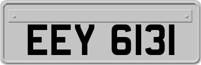 EEY6131