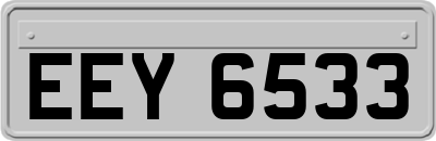 EEY6533