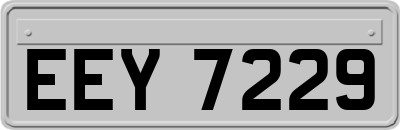 EEY7229