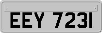 EEY7231