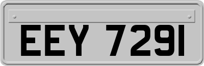 EEY7291