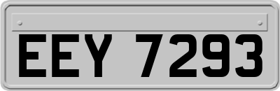 EEY7293