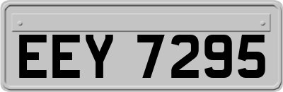 EEY7295