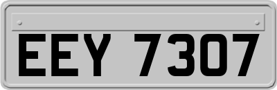 EEY7307
