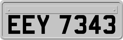 EEY7343