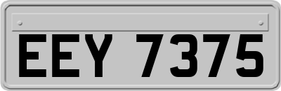EEY7375