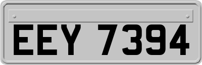 EEY7394
